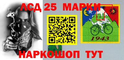 амф Гатчина