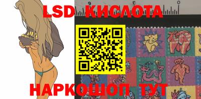 амф Гатчина