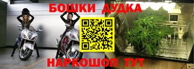 амф Гатчина