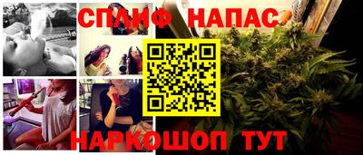 амф Гатчина
