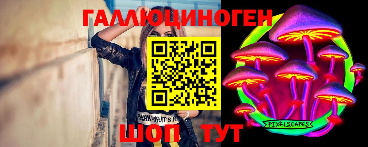 Галлюциногенные грибы Psilocybe  Галлюциногенные грибы Cubensis  Вольск  Вход с VPN 